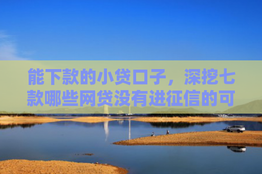 能下款的小贷口子，深挖七款哪些网贷没有进征信的可以下款