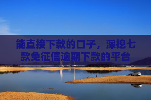 能直接下款的口子，深挖七款免征信逾期下款的平台