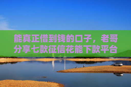 能真正借到钱的口子，老哥分享七款征信花能下款平台