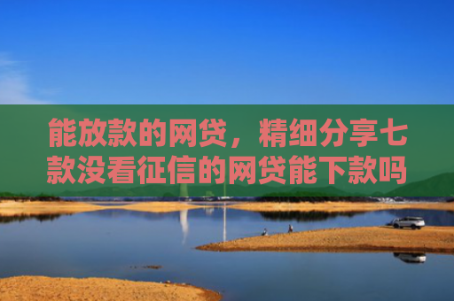 能放款的网贷，精细分享七款没看征信的网贷能下款吗