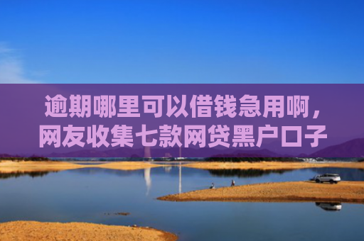 逾期哪里可以借钱急用啊，网友收集七款网贷黑户口子下款口子