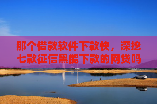 那个借款软件下款快，深挖七款征信黑能下款的网贷吗