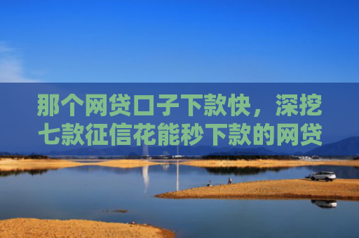 那个网贷口子下款快，深挖七款征信花能秒下款的网贷