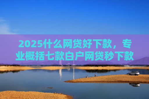 2025什么网贷好下款，专业概括七款白户网贷秒下款口子