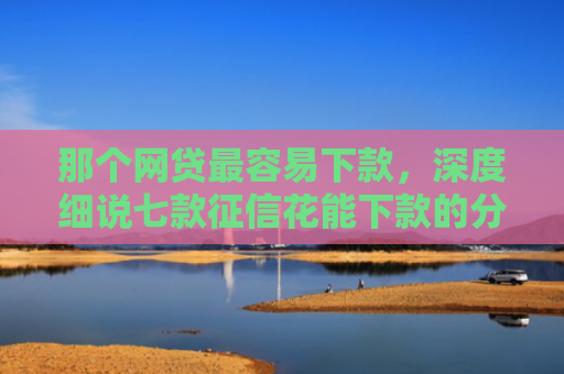那个网贷最容易下款，深度细说七款征信花能下款的分期网贷