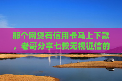 那个网贷有信用卡马上下款，老哥分享七款无视征信的网贷必下款app