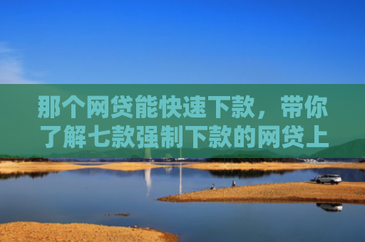 那个网贷能快速下款，带你了解七款强制下款的网贷上征信嘛