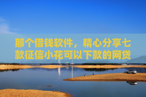 那个借钱软件，精心分享七款征信小花可以下款的网贷
