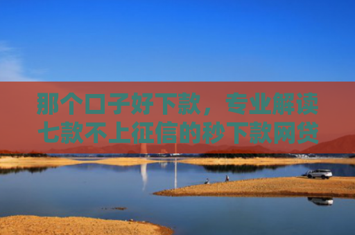 那个口子好下款，专业解读七款不上征信的秒下款网贷