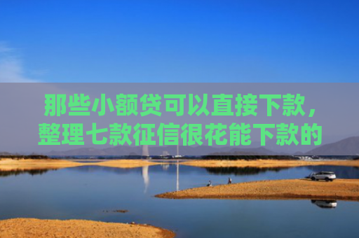 那些小额贷可以直接下款，整理七款征信很花能下款的网贷