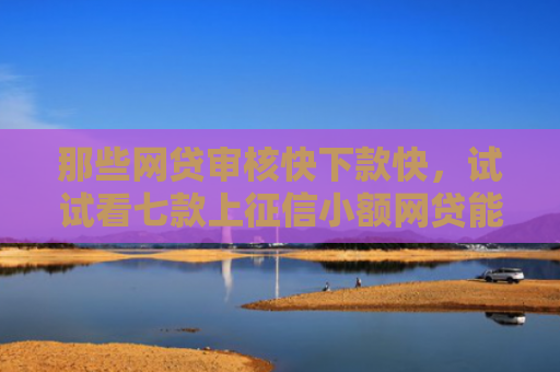 那些网贷审核快下款快，试试看七款上征信小额网贷能下款吗