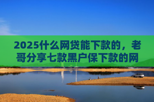 2025什么网贷能下款的，老哥分享七款黑户保下款的网贷口子