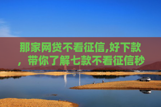 那家网贷不看征信,好下款，带你了解七款不看征信秒下款的网贷6