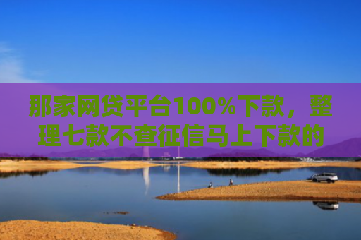 那家网贷平台100%下款，整理七款不查征信马上下款的网贷