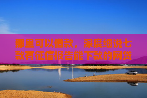 那里可以借款，深度细说七款有征信报告能下款的网贷