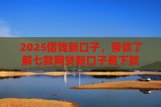 2025借钱新口子，带你了解七款网贷新口子易下款