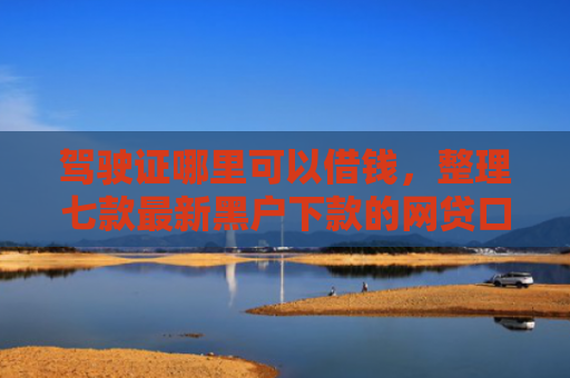 驾驶证哪里可以借钱，整理七款最新黑户下款的网贷口子