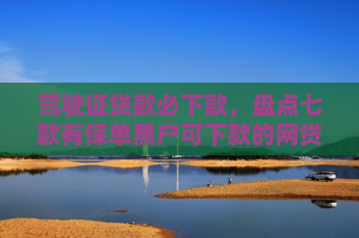 驾驶证贷款必下款，盘点七款有保单黑户可下款的网贷