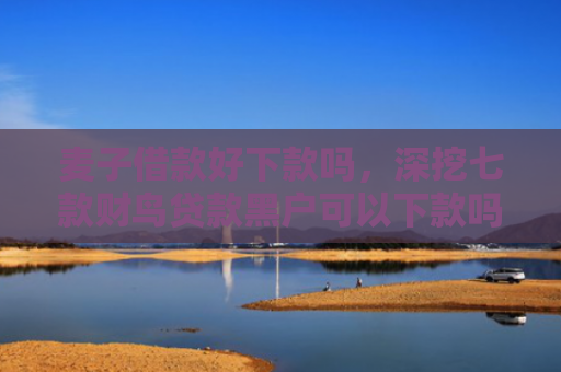 麦子借款好下款吗，深挖七款财鸟贷款黑户可以下款吗