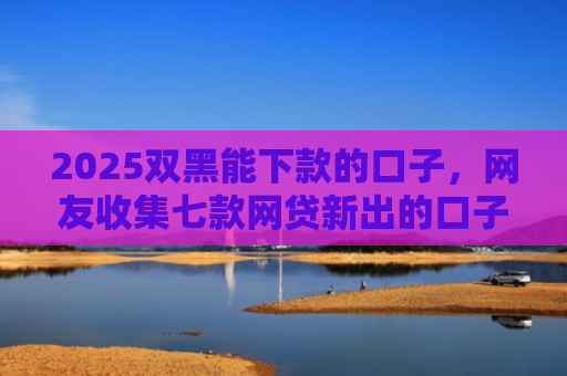 2025双黑能下款的口子，网友收集七款网贷新出的口子秒下款