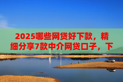 2025哪些网贷好下款，精细分享7款中介网贷口子，下款高